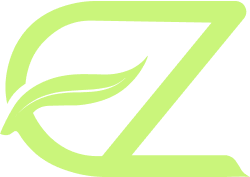 EZ Loan